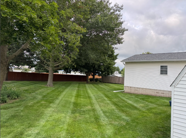Well-maintained backyard with clean mowing stripes by BDS Lawns