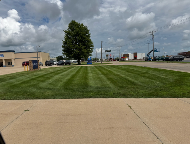 Lush green lawn with professional mowing stripes by BDS Lawns