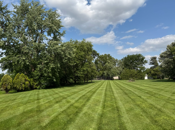 Beautiful freshly mowed lawn with professional mowing stripes by BDS Lawns