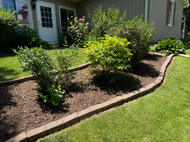 Mulch bed with shrubs and professional edging by BDS Lawns
